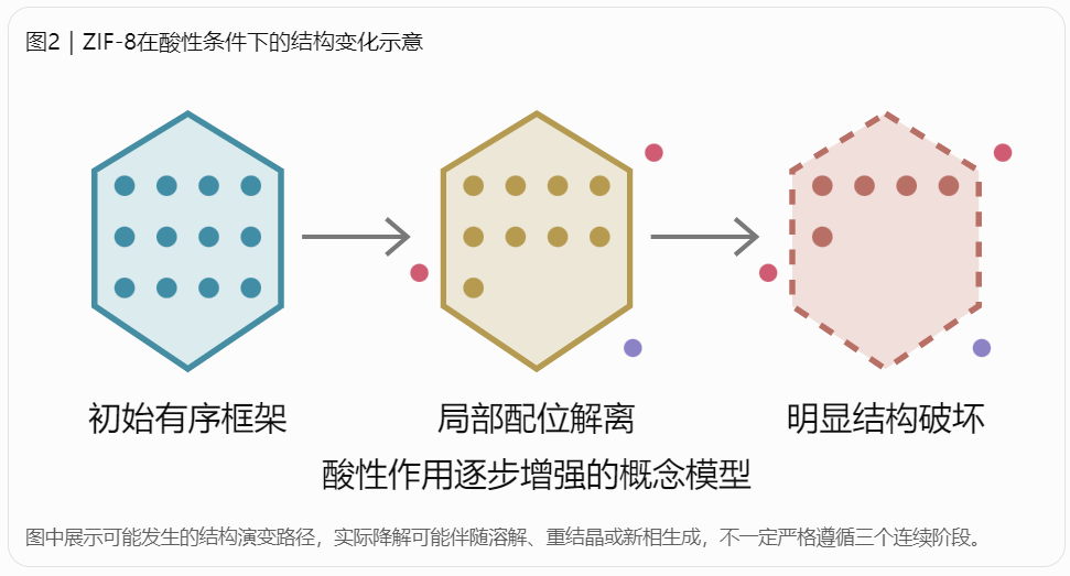 ZIF-8在酸性条件下的结构变化示意
