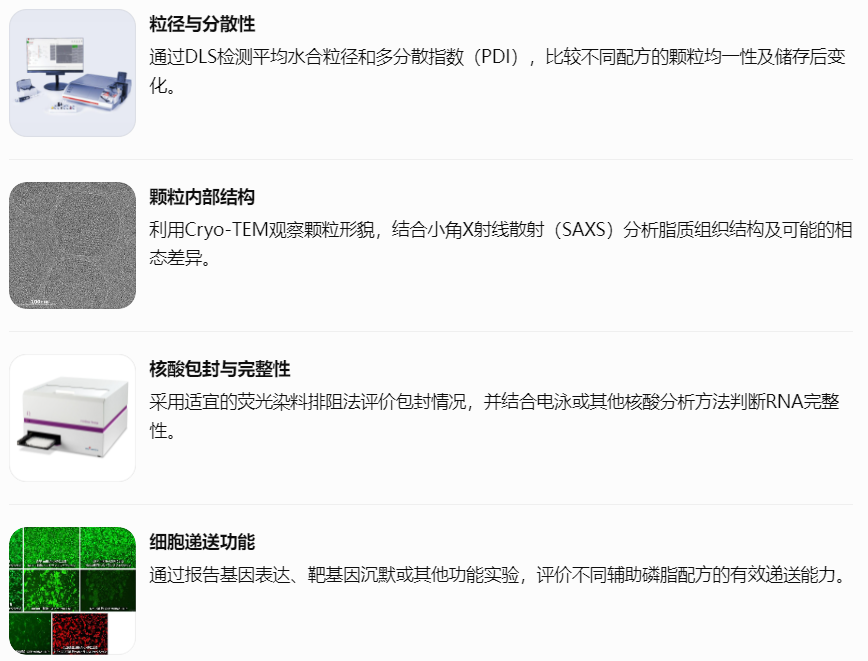 建议重点考察的指标