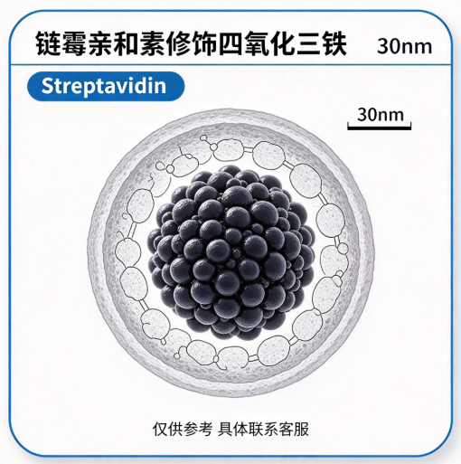链霉亲和素修饰四氧化三铁(30nm) R-105753 产品图