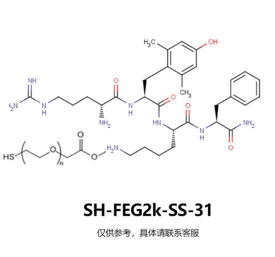 SH-FEG2k-SS-31,巯基-FEG2k-二硫键-SS31 R-597145 产品图