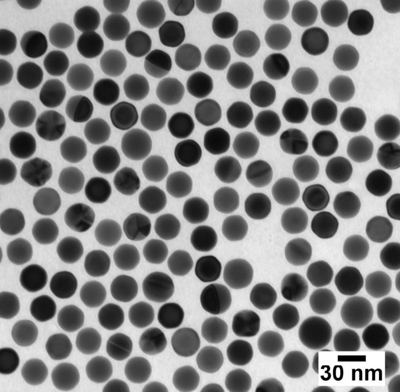 金纳米颗粒,Gold Nanoparticles（15nm） R-954795 产品图